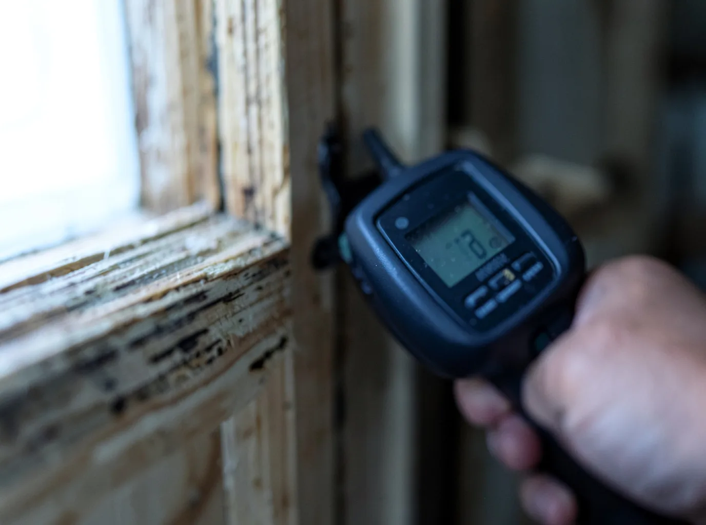 Moisture Inspection And Documentation in New Castle, CO